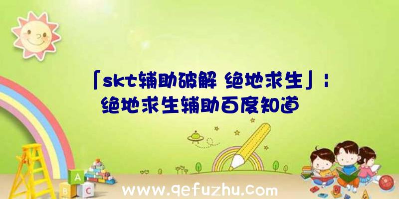 「skt辅助破解